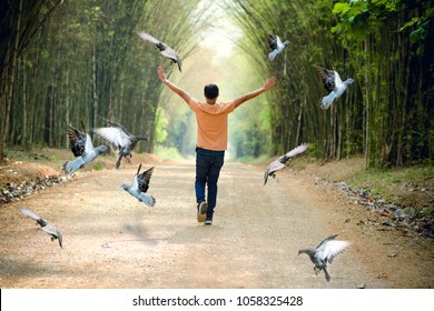 Landscape Garden Beautiful Travel Nature People Walking Bird Flying Road Trip Bamboo Forest Portrait Nature Image Imagine Photoshop Creative Lifestyle Changes Fresh