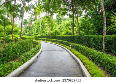 Landscape and garden, curved walkway winding through lush tropical garden