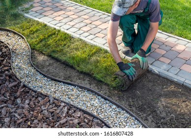 Landscape Gardener Laying Turf For New Lawn - Shutterstock ID 1616807428