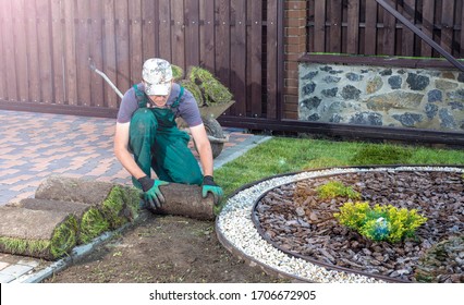 Landscape Gardener Laying Turf For New Lawn