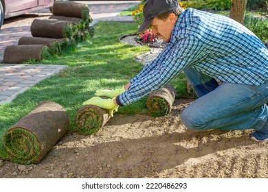 Landscape Gardener Laying Turf For New Lawn In The Garden