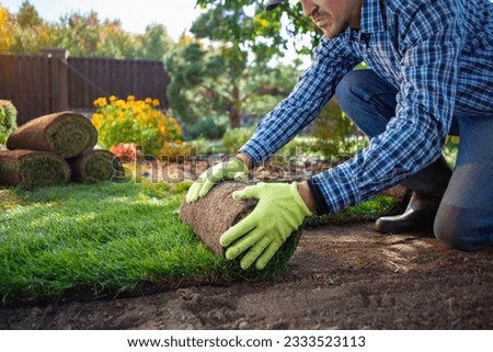 Landscape Gardener Laying Turf For New Lawn in the garden