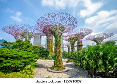 Landscape of Gardens by the Bay in singapore
