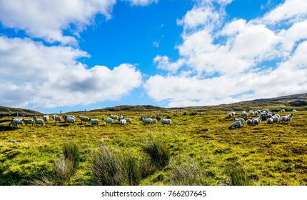 The Landscape Of Glencolumbkille Ireland  Rolling Hills And Beautiful Meadows.