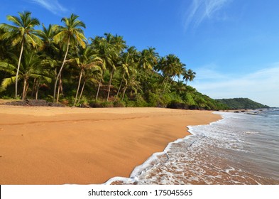 landscape Goa