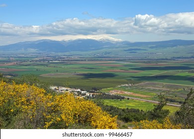 Landscape With Golan Heights,Israel