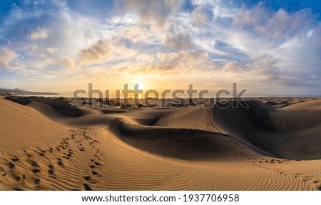 Landscape with golden sand dunes of Maspalomas at sunrise, Gran Canaria, Canary Islands, Spain