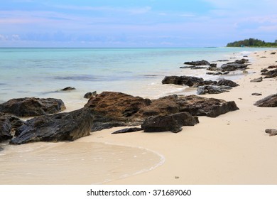 Landscape In Grand Bahamas