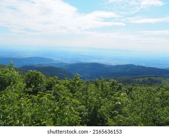 Landscape Of Grand Ballon, Vosges, Alsace, France