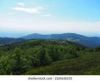 Landscape Of Grand Ballon, Vosges, Alsace, France