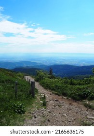 Landscape Of Grand Ballon, Vosges, Alsace, France