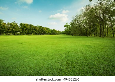 Landscape Of Grass Field And Green Environment Public Park Use As Natural Background,backdrop