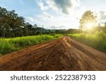 Landscape of gravel road in countryside with meadow. Road in rainy season. Side view of dirt road in forest with sunset. road background.