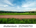 Landscape of gravel road in countryside with meadow. Road in rainy season. Side view of dirt road in forest with sunset. road background.