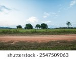 Landscape of gravel road in countryside with meadow. Road in rainy season. Side view of dirt road in forest with sunset. road background.