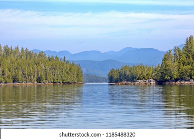 Landscape Great Bear Rainforest Canada