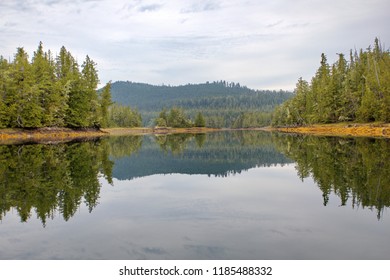 Landscape Great Bear Rainforest Canada