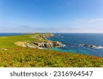 Landscape Great Saltee Island on sunny summer day with blue sky. Wexford, Ireland