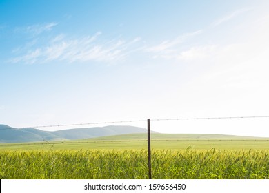Landscape of green field with view on hills