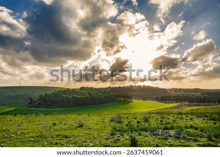 A landscape with green fields against a cloudy sky in Israel