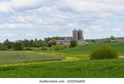 Landscape With Green, Flowering Meadows. In The Distance Are Farm Buildings, Two Towers For Silage, Grain Storage.