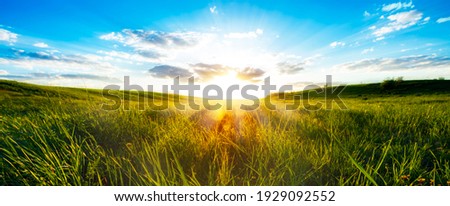  Landscape with green grass field and blue sky.
