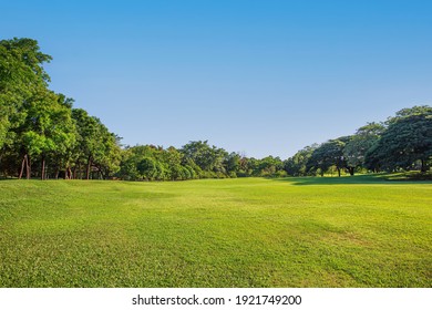 Landscape With Green Grass And Sky