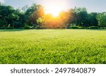 Landscape green lawn on the morning with Blue sky on the background. smooth lawn with curve form of bush, trees on the background under morning sunlight