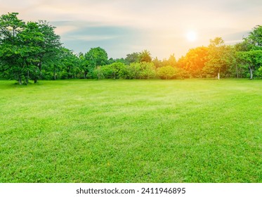 Landscape green lawn on the morning with Blue sky on the background. smooth lawn with curve form of bush, trees on the background under morning sunlight Arkivfotografi