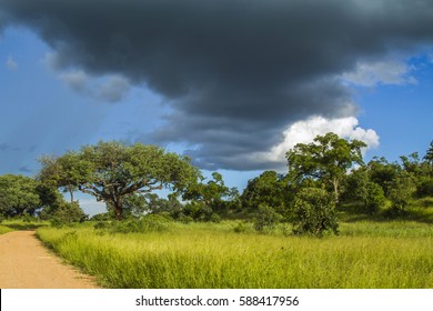 5,652 Rainy Season Africa Images, Stock Photos & Vectors 