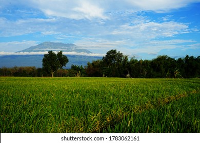 A Landscape Of Gunung Lawu, East Java