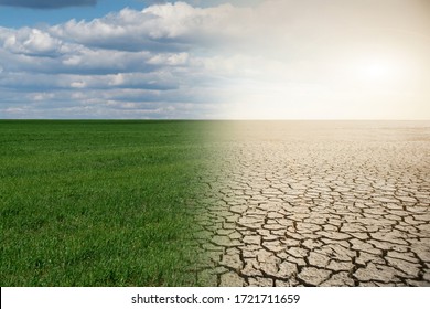 Landscape with half green field and half desert. Global warming concept