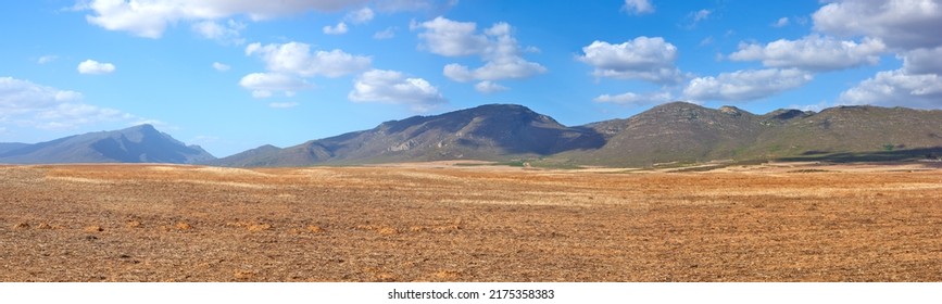 Landscape of harvested farm land on a cloudy day. Empty wheat field against a blue sky. Rural agriculture with dry pasture near mountains. Wide angle of empty dirt country for copy space background. - Powered by Shutterstock