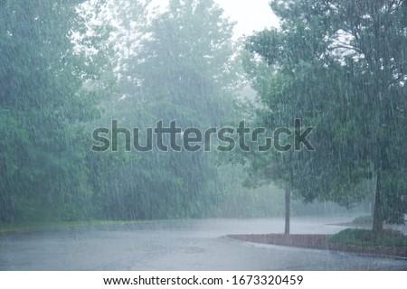 landscape of heavy rain and trees