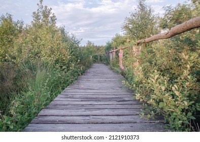 The Landscape Of The High Fens