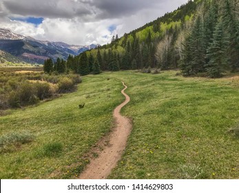 Landscape Of Hiking Trail Surrounded By Grassy Meadow, Forest And Mountains In Telluride, Colorado