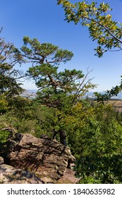 Landscape from the Hill High Rock, Vysoky Kamen, in Rychlebske Mountains, Czech Republic - Shutterstock ID 1840635982