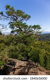Landscape from the Hill High Rock, Vysoky Kamen, in Rychlebske Mountains, Czech Republic - Shutterstock ID 1840636000