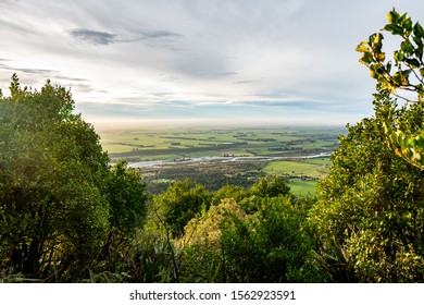 Landscape, Hill View Over The Canterbury Plains