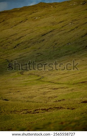 Similar – Image, Stock Photo Hiking path and epic landscape of Seceda peak in Dolomites Alps, Odle mountain range, South Tyrol, Italy, Europe