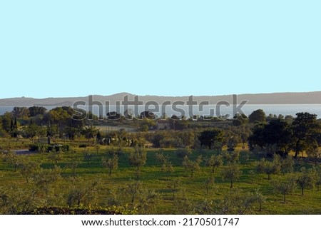 Similar – in Südafrika Naturreservat Teichsee und Busch