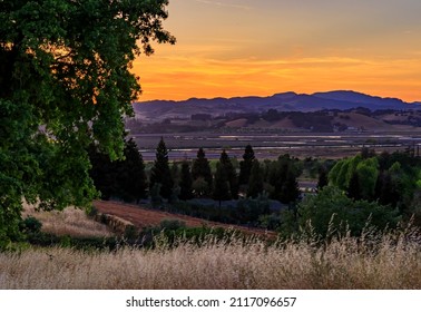 Landscape with hills and valleys at sunset at a vineyard in the spring in Napa Valley, California, USA
