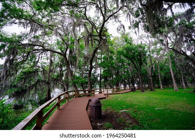 1,858 Hillsborough river Images, Stock Photos & Vectors | Shutterstock