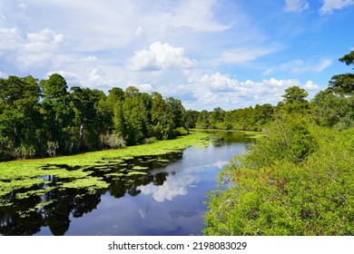 Landscape of Hillsborough river in Tampa - Shutterstock ID 2198083029