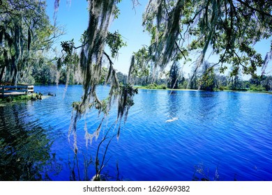 5,289 Tampa florida landscape Images, Stock Photos & Vectors | Shutterstock