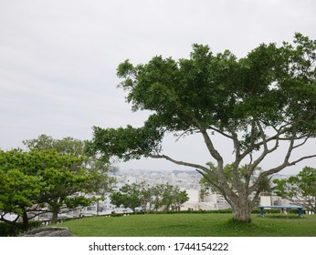 Landscape From Hilltop Park Naha-city, Okinawa, Japan