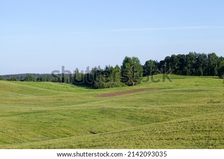 landscape with hilly territory with plants, grass and trees, summer landscape with green vegetation on the hills