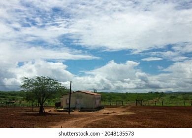 Sertão Landscape With A House Under A Blue Sky In Bahia Interior