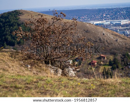 Irhás árok landscape in hungary
 Stock fotó © 