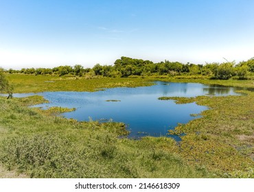 Landscape of the Ibera Wetlands National Park, Argentina with a blue lagoon in a grassland scenery. The Ibera Wetlands National Park, covers 1,381.4 km².